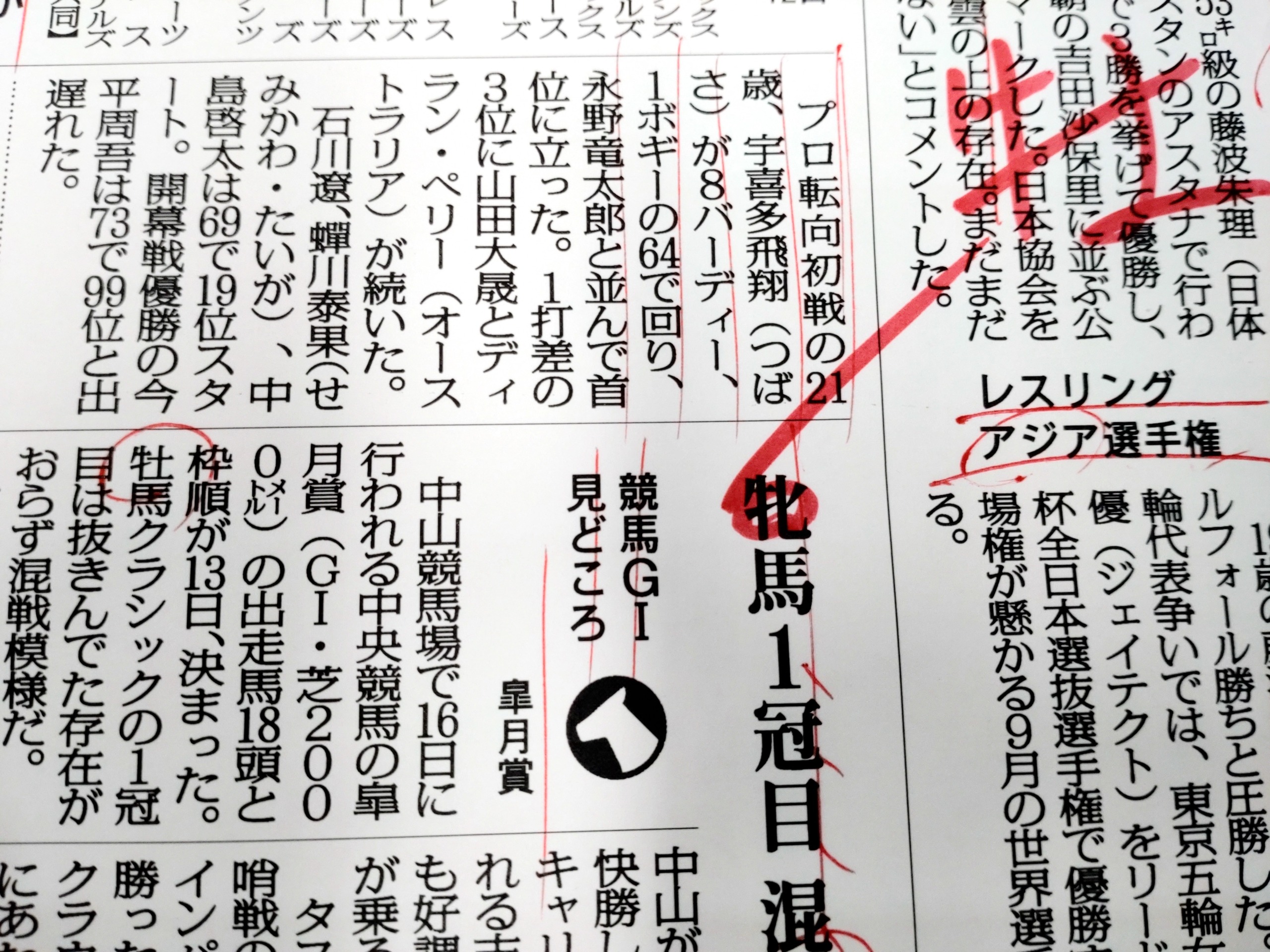 牝馬 と は