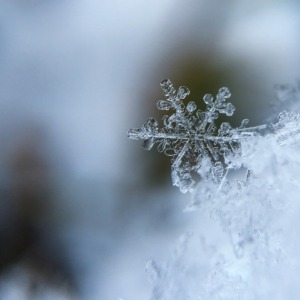 【雪】沫雪、霙、蛍雪の功、雪間草、雪沓