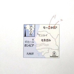 モーニタリア？