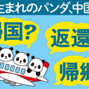 パンダ「帰国」の何がヘンなのか