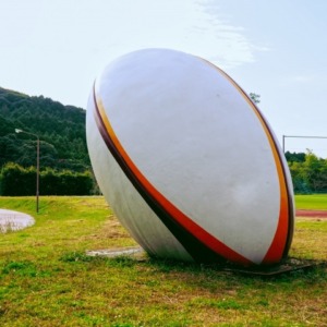 ラグビーが全然分からない人のためのガイド